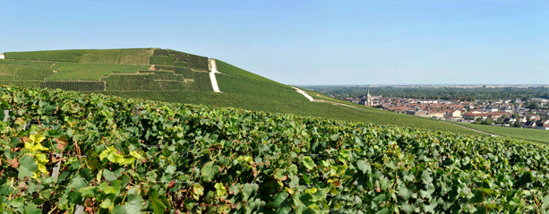Historische Weingärten der Champagne in Aÿ, Foto: obs/Comité interprofessionnel du Vin de Champagne/Michel Jolyot