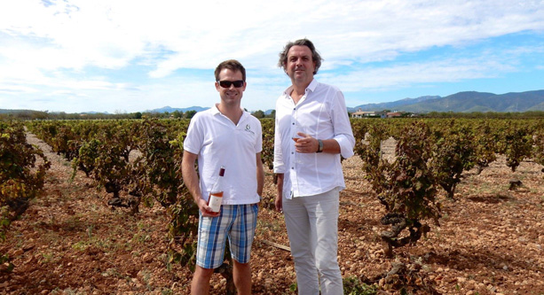 Mallorca | Insel für Weinliebhaber