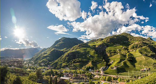 Kellereigenossenschaft Bozen in Südtirol | Erste Ernte in neuer Kellerei