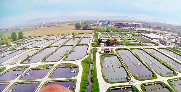 Kaviar vom Gardasee | Europas größte Kaviarproduktionsstätte 