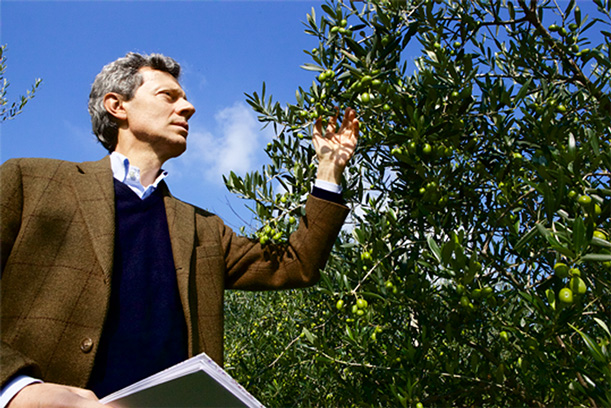 Paolo Bonomelli | Wenn Olivenbäume Leidenschaft werden