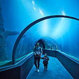 Riesiges Süßwasser-Aquarium-Vivarium in der Schweiz eröffnet: Das Aquatis in Lausanne, Foto © Sedrik Nemeth