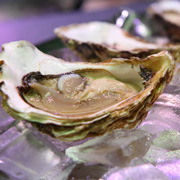 Tipps von Spitzenkoch Thomas Bühner: Austern genießen und zubereiten, Foto © pitopia/André Bonn
