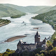 Inselwein vom Rhein, Foto © DWI