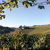 Besuch beim Weingut Damiliano im Piemont