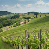 Österreichischer Wein | Weinbaugebiete mit neuen Namen © ÖWM/Bernhard Schramm