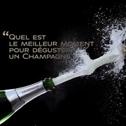 Comité Champagne startet E-learning Programm | Champagne Campus