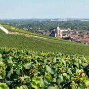 Historische Weingärten der Champagne in Aÿ, Foto: obs/Comité interprofessionnel du Vin de Champagne/Michel Jolyot