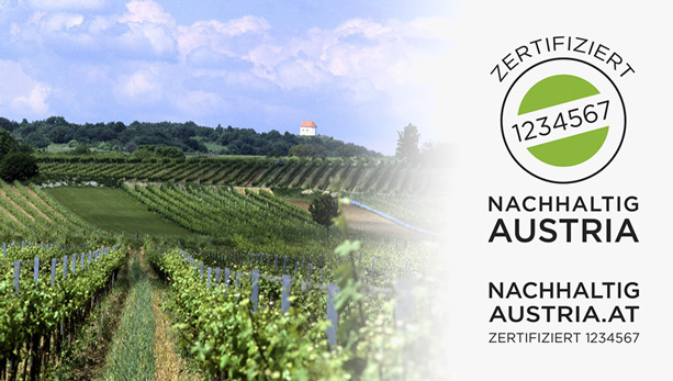 Nachhaltig Austria | Erste Weingüter zertifiziert, Foto: ÖWM