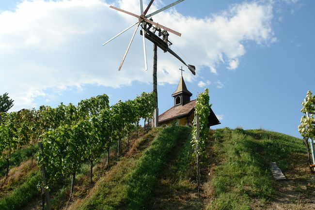 Weingarten mit Klapotetz - typisches Windrad in der Südsteiermark Foto: ÖWM