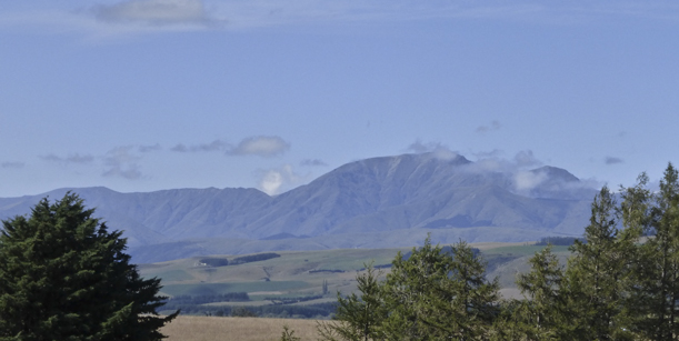 Hangi, Hirschfarm und Wale | Neuseeland für Einsteiger - Teil 2 