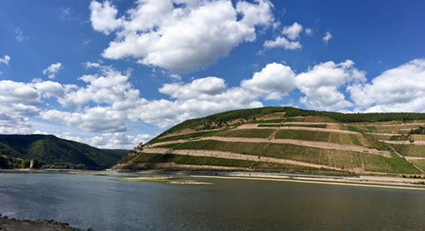 Weingut Corvers-Kauter mit der Lage Berg Schlossberg