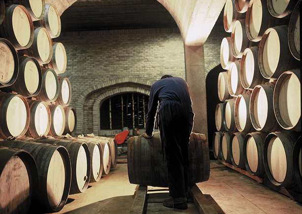 Rioja Genusswochen vom 3.-18. Oktober 2015, Foto © DOCa Rioja