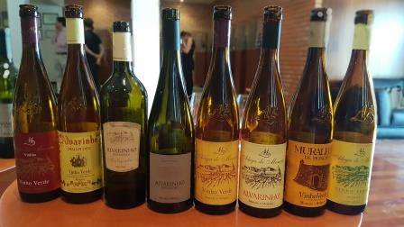 Wein aus Portugal | Vinho Verde heute
