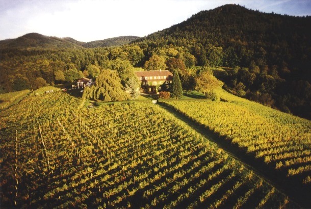 Nach 23 Jahren verkauft Ehepaar Strickler das traditionsreiche Weingut Nägelsförst in Baden-Baden, Varnhalt an eine Unternehmerfamilie aus Süddeutschland.
