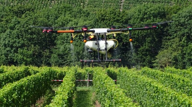 Drohne im Weinbau beim Einsatz Foto: DLR-Mosel