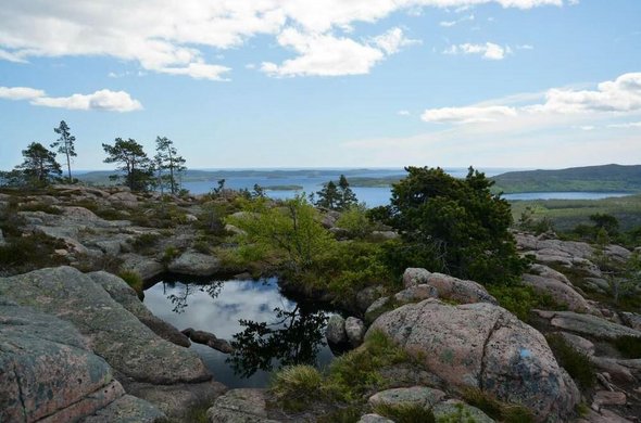 Skuleskogen National Park - Höga Kusten in Schweden - Foto: IMAGO / Panthermedia