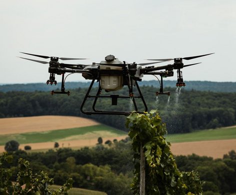 Drohneneinsatz im Weinberg Foto: Weingut Heitlinger 