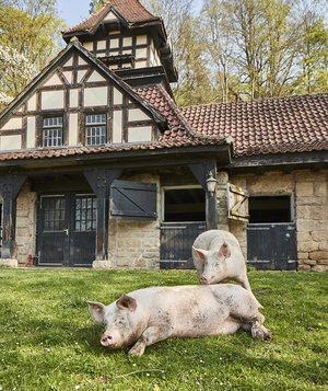 Schlosshotel Hohenhaus | Farm to Table 
