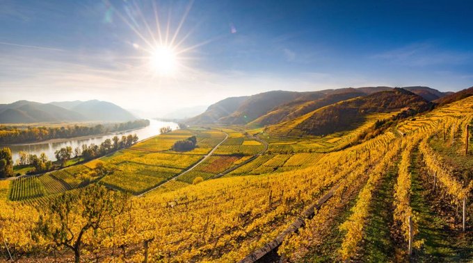 Ein strahlender Herbst war die Grundlage für einen österreichischen Traumjahrgang © ÖWM / WSNA