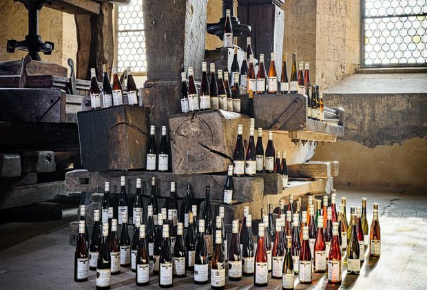 100 Rieslinge aus der Weinbibliothek des Klosters mit einer Jahrgangstiefe von 3 Jahrhunderten - Foto: Guido Bittner/Kloster Eberbach