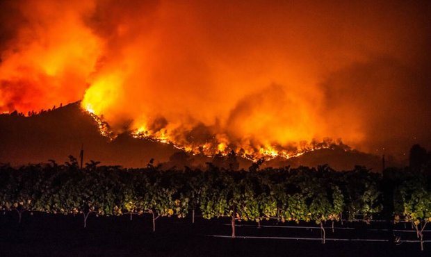 Brände in den Weinbergen bei Calistoga im Napa Valley Foto: imago images / ZUMA Wire