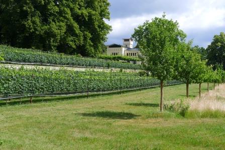 Weinfest Villa Jacobs | Auf nach Potsdam!